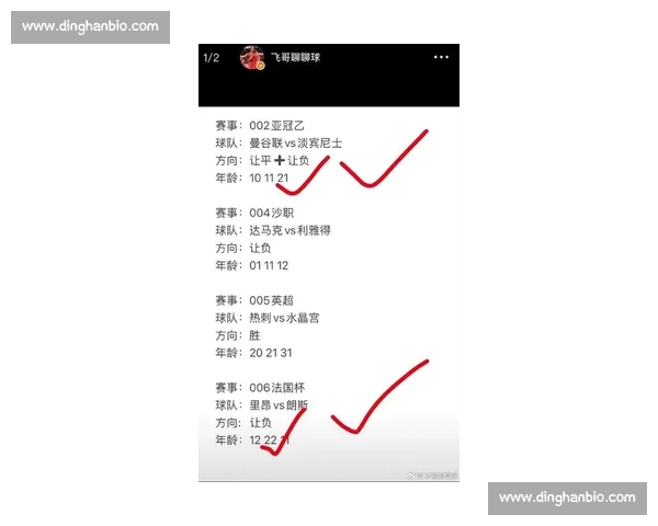 五大联赛网页版全方位分析与操作指南，带你轻松掌握最新足球赛事资讯